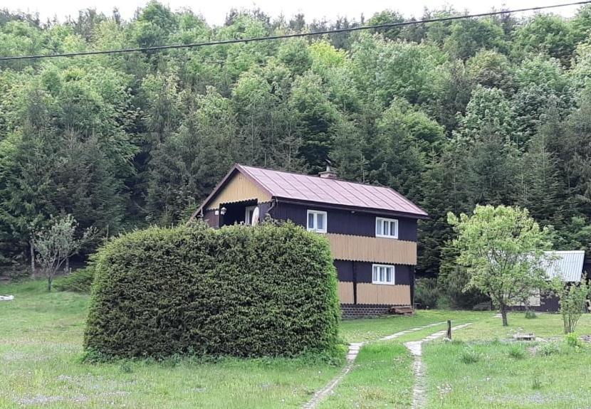 Fleurs De Myto Villa Mýto pod Ďumbierom Buitenkant foto